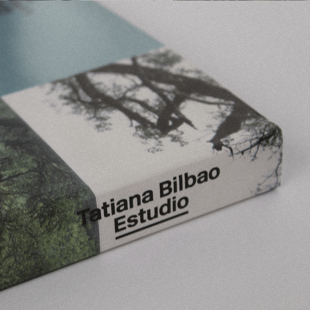 Libro Tatiana Bilbao Estudio