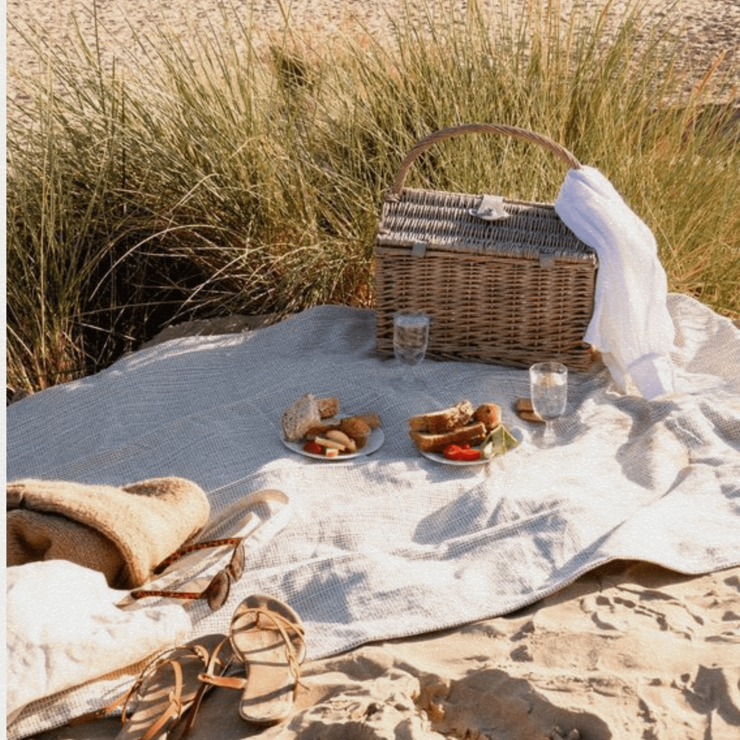 Picnic