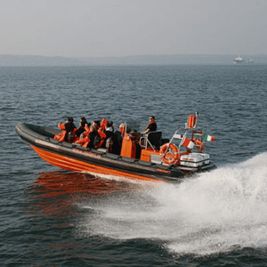 Sea Safari en Cork Harbour